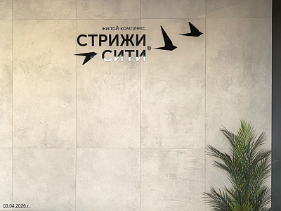 Стрижи Сити