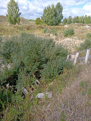 Радужный город