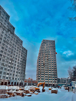 КУРКИНО15