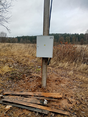 Звездная роща