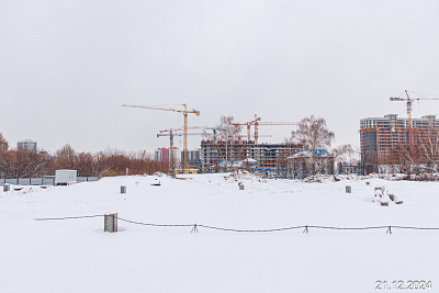 Главные роли