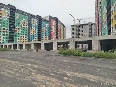 ЛО, г. Мурино