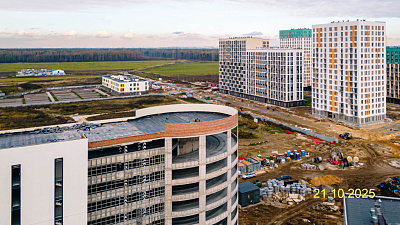 ЛО, Деревня Новосаратовка
