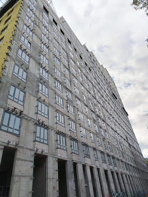 КУРКИНО15