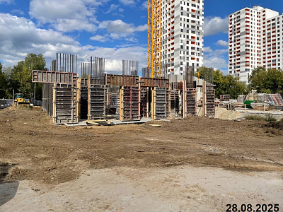 ТОЛК МЕДНЫЙ