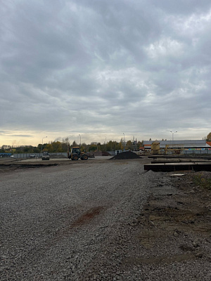 Флора