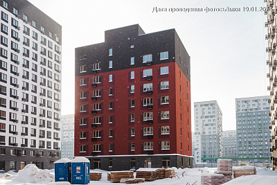 Дружеский