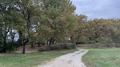 Село Агой