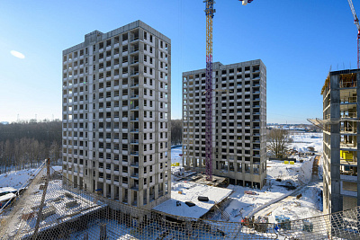 Левел Лесной