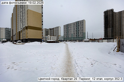 Цветной город