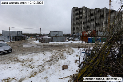 Цветной город