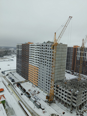 г. Воронеж, Улица