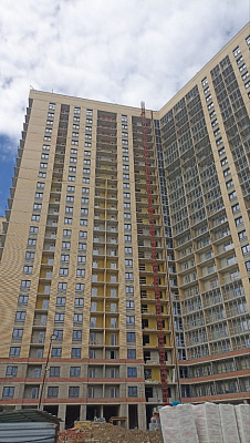 Сакура парк