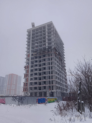 Норвежский лес