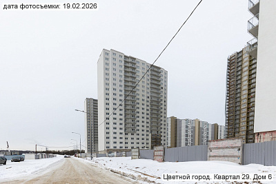 Цветной город