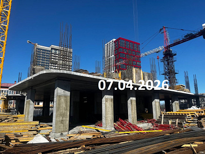 Чайка Тауэр