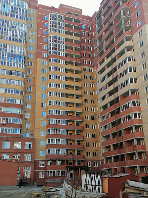ЖК Ельцовский