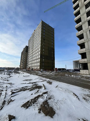 Темп