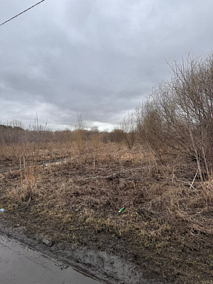 село С Новолуговое