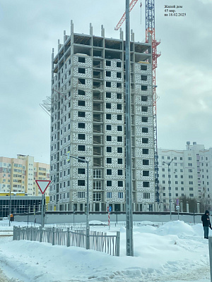г. Нижнекамск, 45