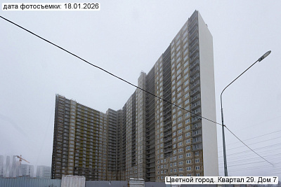 Цветной город