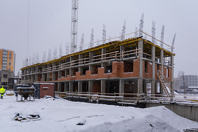 Брусника в Новоселье