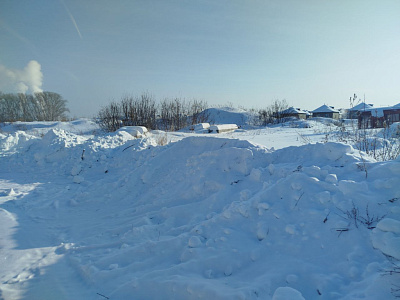 Расцветай на Зорге