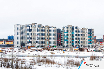 ЦДС Dreamline