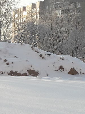 Макаринская роща