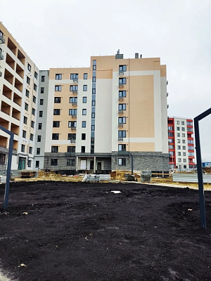 Поселок Дубовое, Улица Успешная