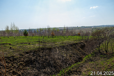 Новинки 