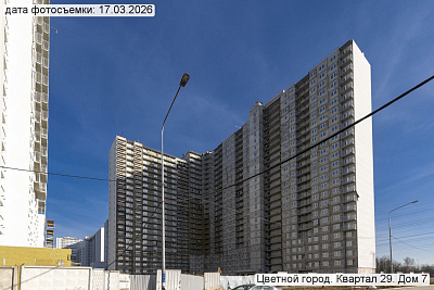 Цветной город