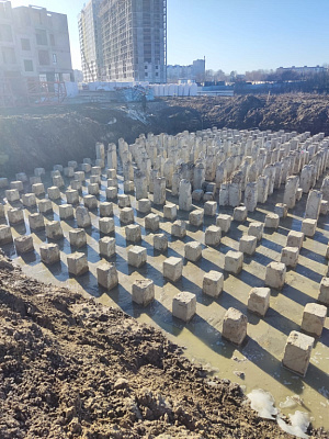г. Брянск, Улица Романа Брянского