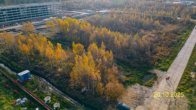 ЛО, Поселок Новогорелово