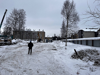 Северные тона