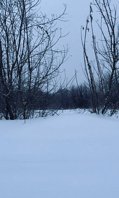 село С Новолуговое