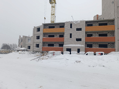 Деревня Новосельцы