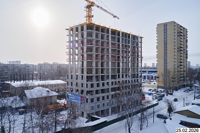 ТОЛК МЕДНЫЙ