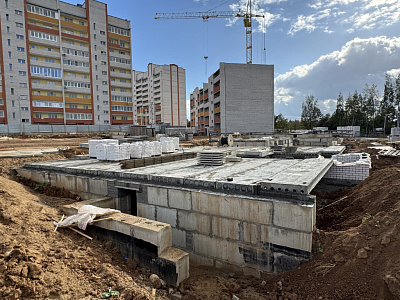 Деревня Новосельцы