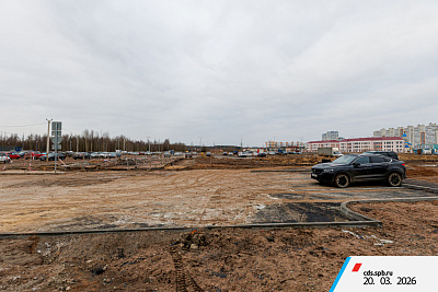 г. Санкт-Петербург, поселок Парголово, район Пригородный