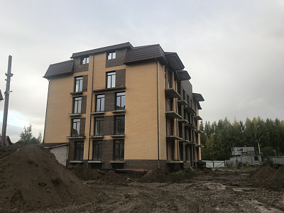 ЛО, Деревня Заневка