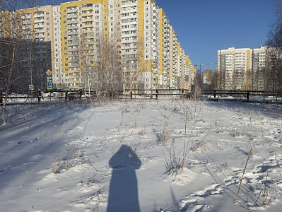 Расцветай в Солнечном