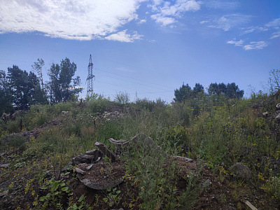 г. Новосибирск