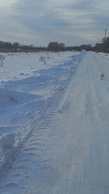 Город-парк