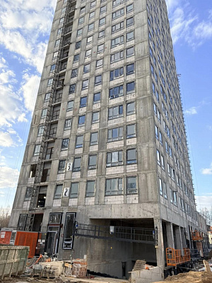 КУРКИНО15
