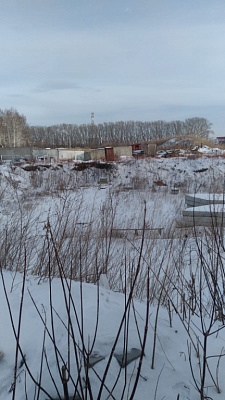 Расцветай на Зорге