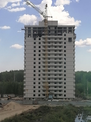 г. Брянск, Проспект Московский