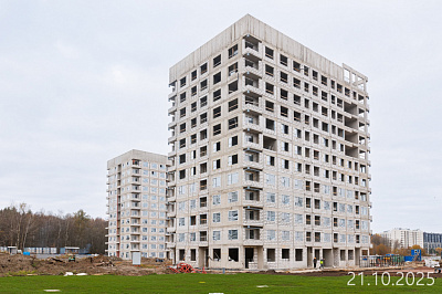 Новоселье