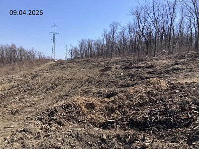 Твоя Привилегия