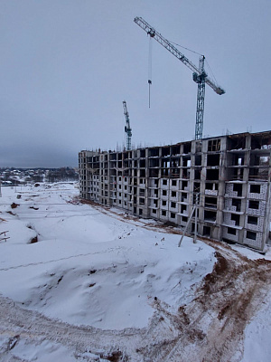 МО, Поселок городского типа Радумля, район ММС-2